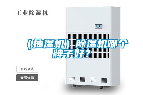 （抽濕機）除濕機哪個牌子好？