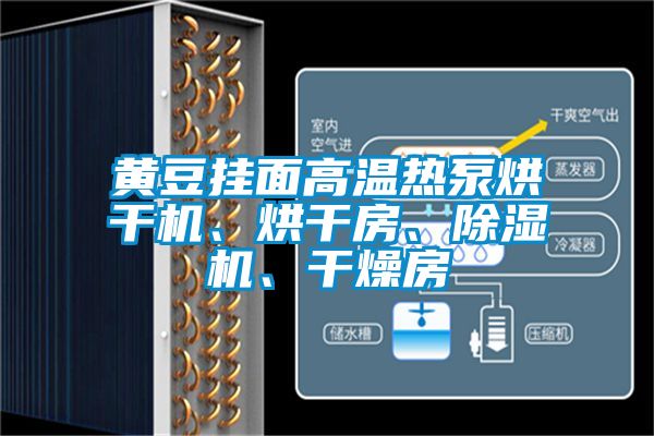 黃豆掛面高溫熱泵烘干機、烘干房、除濕機、干燥房